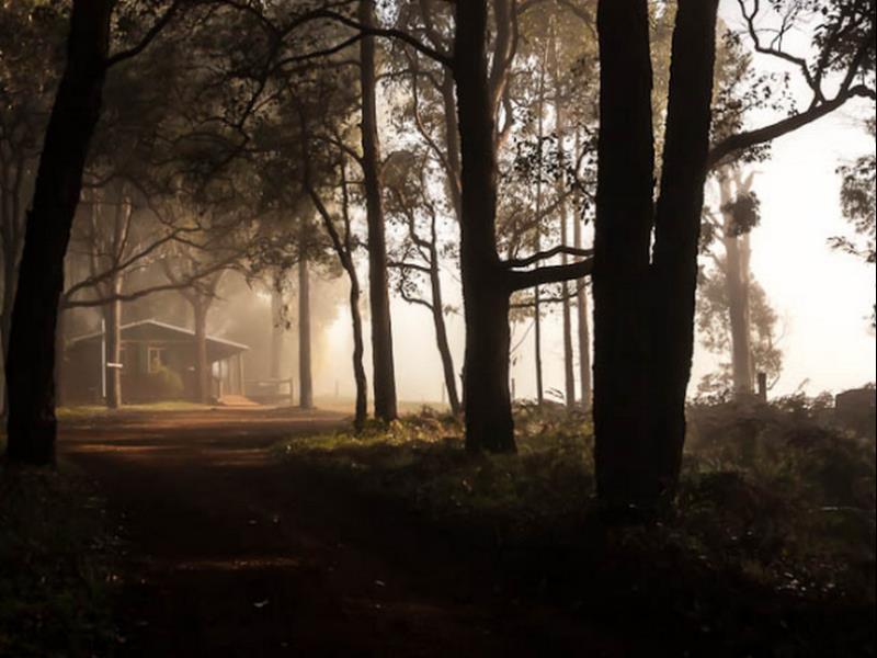 Balingup Heights Hilltop Forest Cottages Екстериор снимка